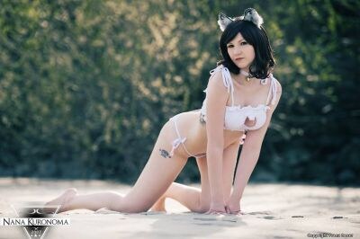 Creator Photo #11075