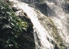 Miss Bella Photo #19