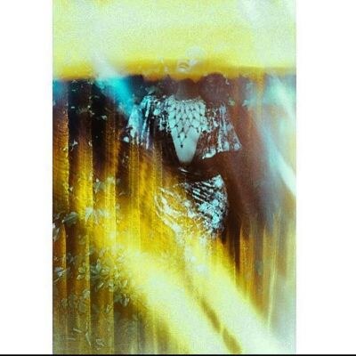 Creator Photo #16384