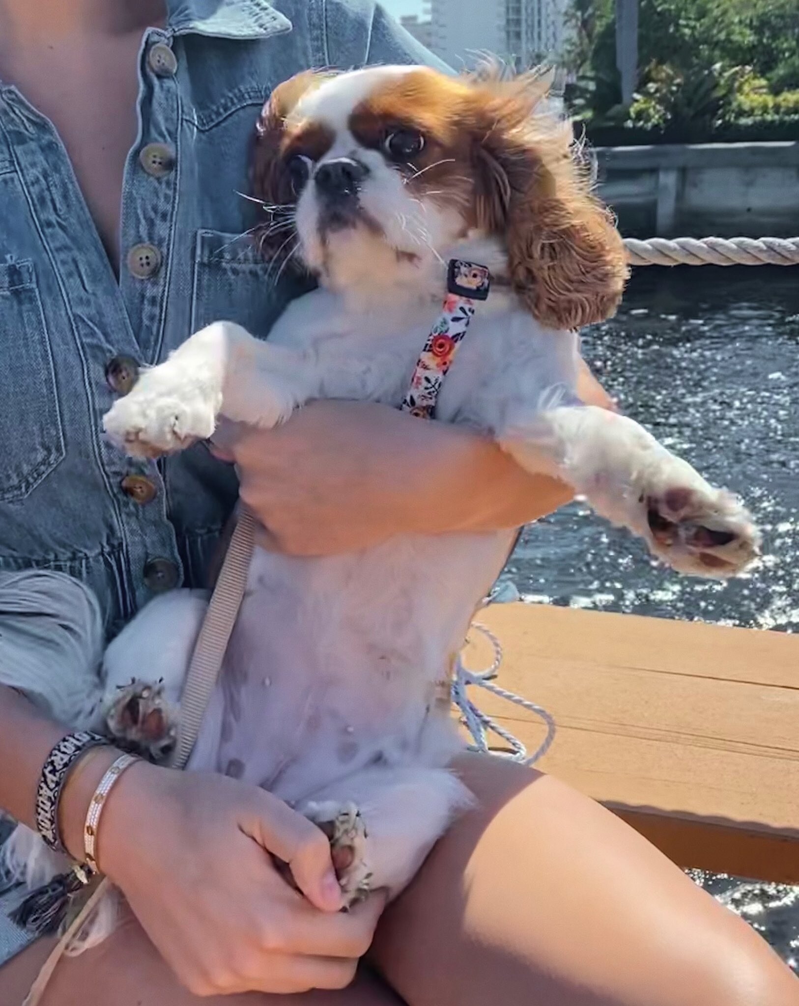 Ashley Tervort Photo #626