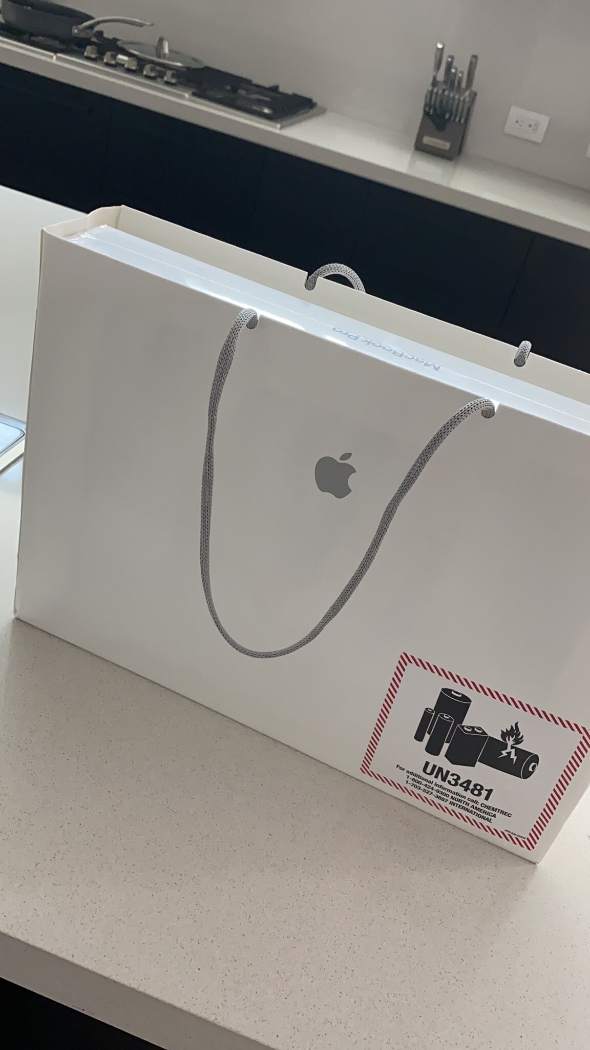 Ashley Tervort Photo #669