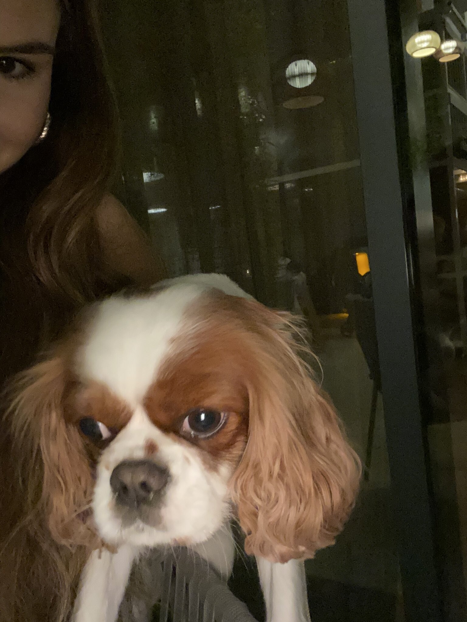 Ashley Tervort Photo #725