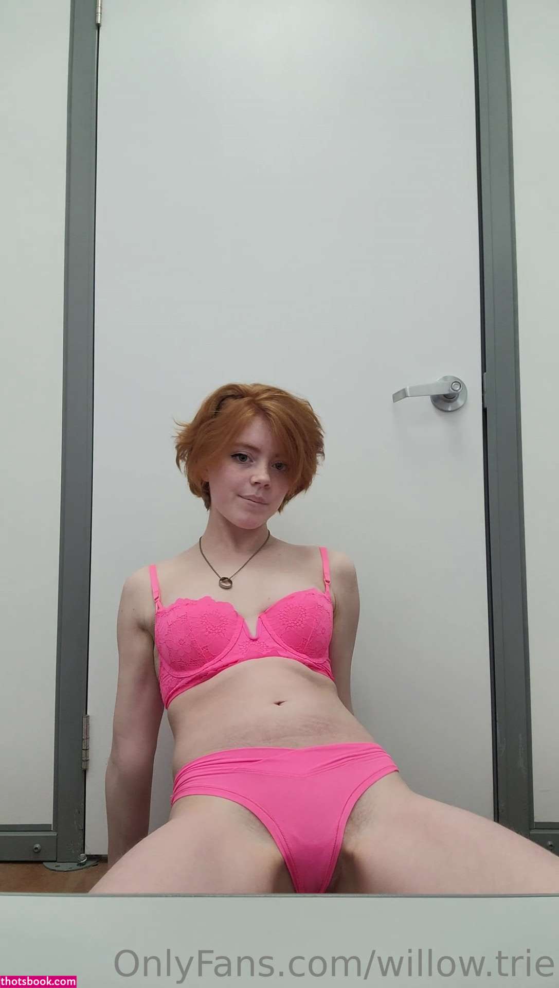 Willow Trie Photo #51