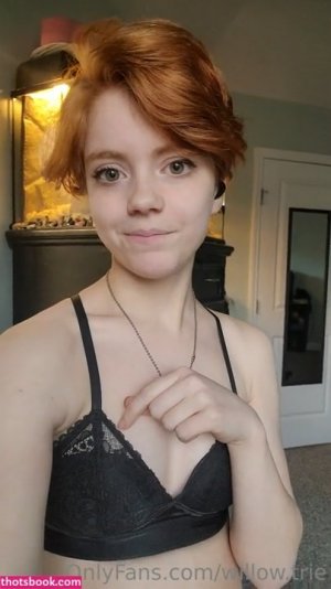 Willow Trie Video #64