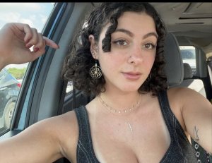 Starrysigh Photo #11