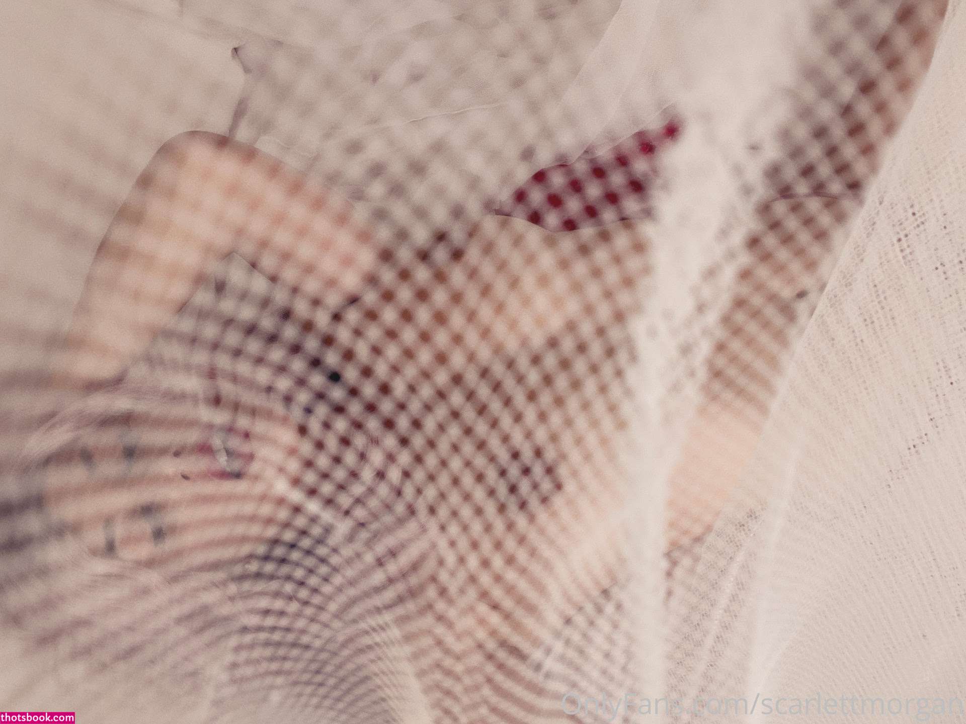 Scarlett Morgan Photo #130