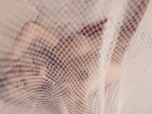 Scarlett Morgan Photo #130