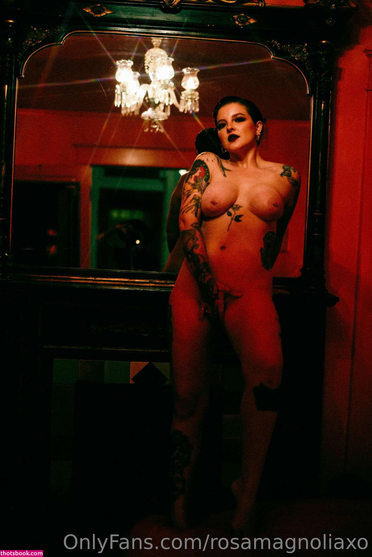 Rosa Magnolia Photo #2