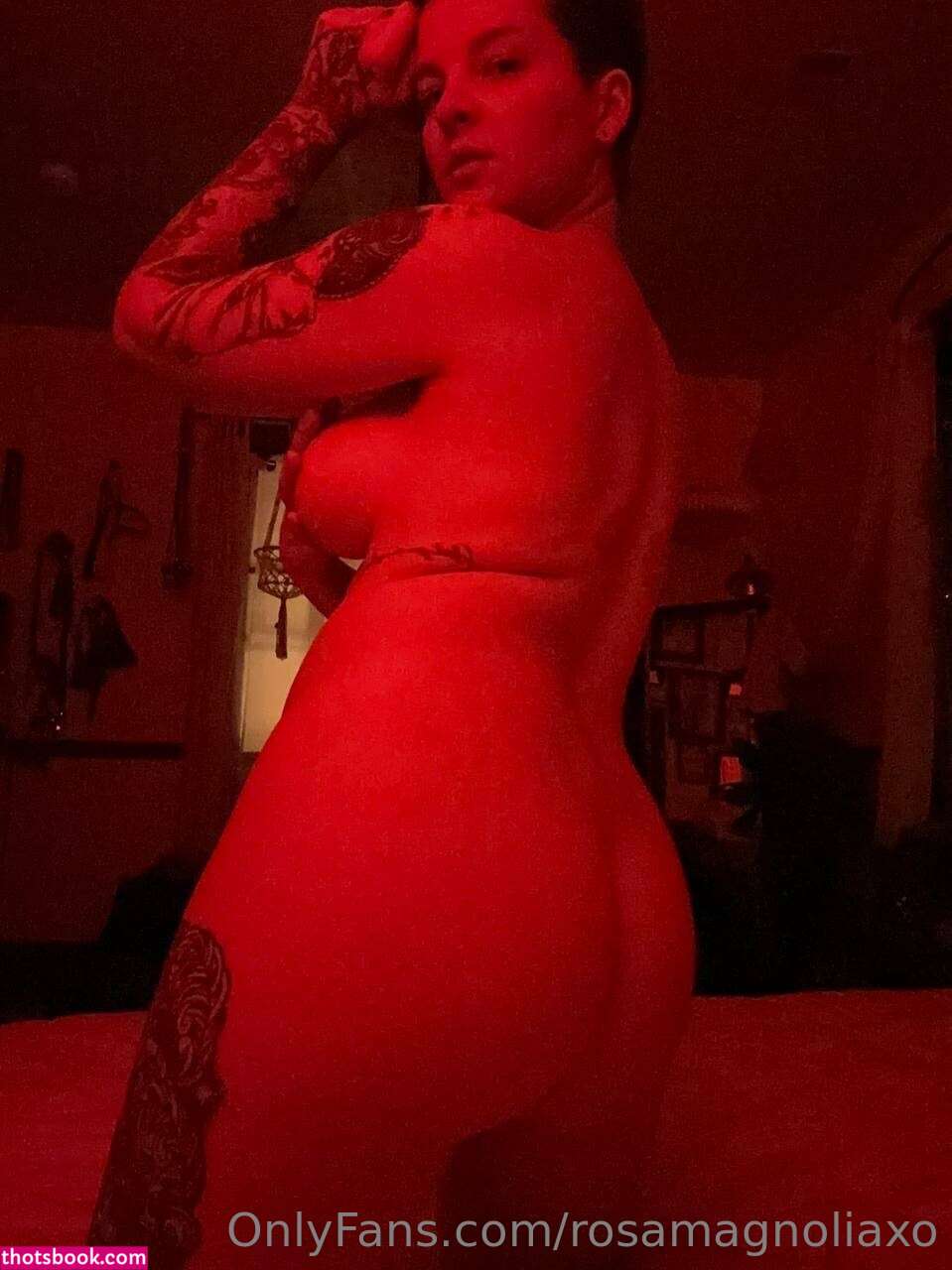 Rosa Magnolia Photo #15