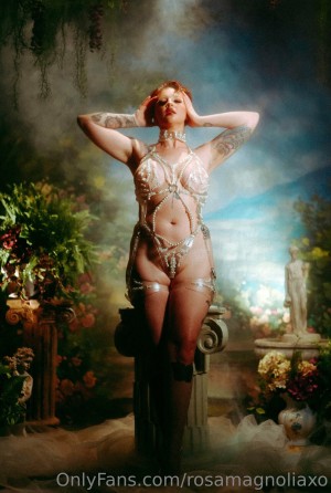 Rosa Magnolia Photo #17