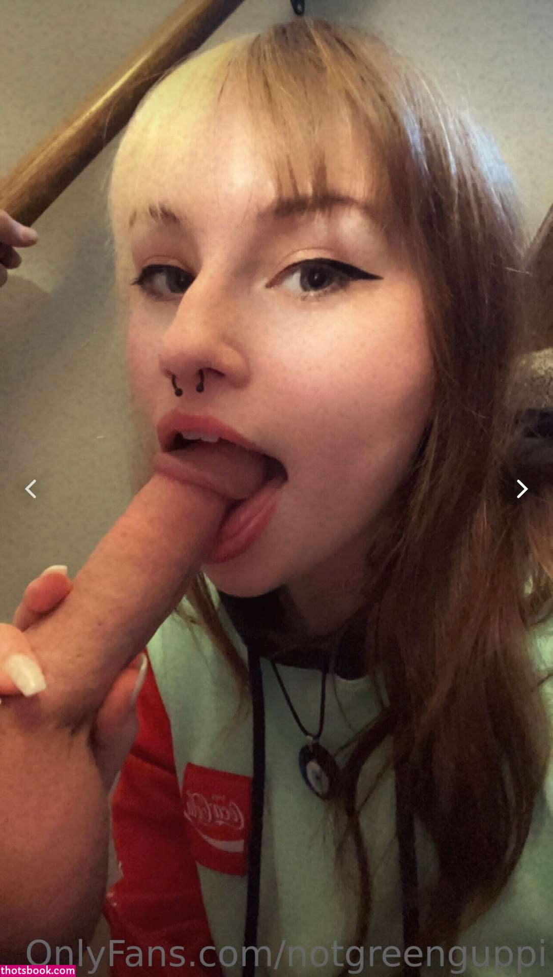 redreptile Photo #57