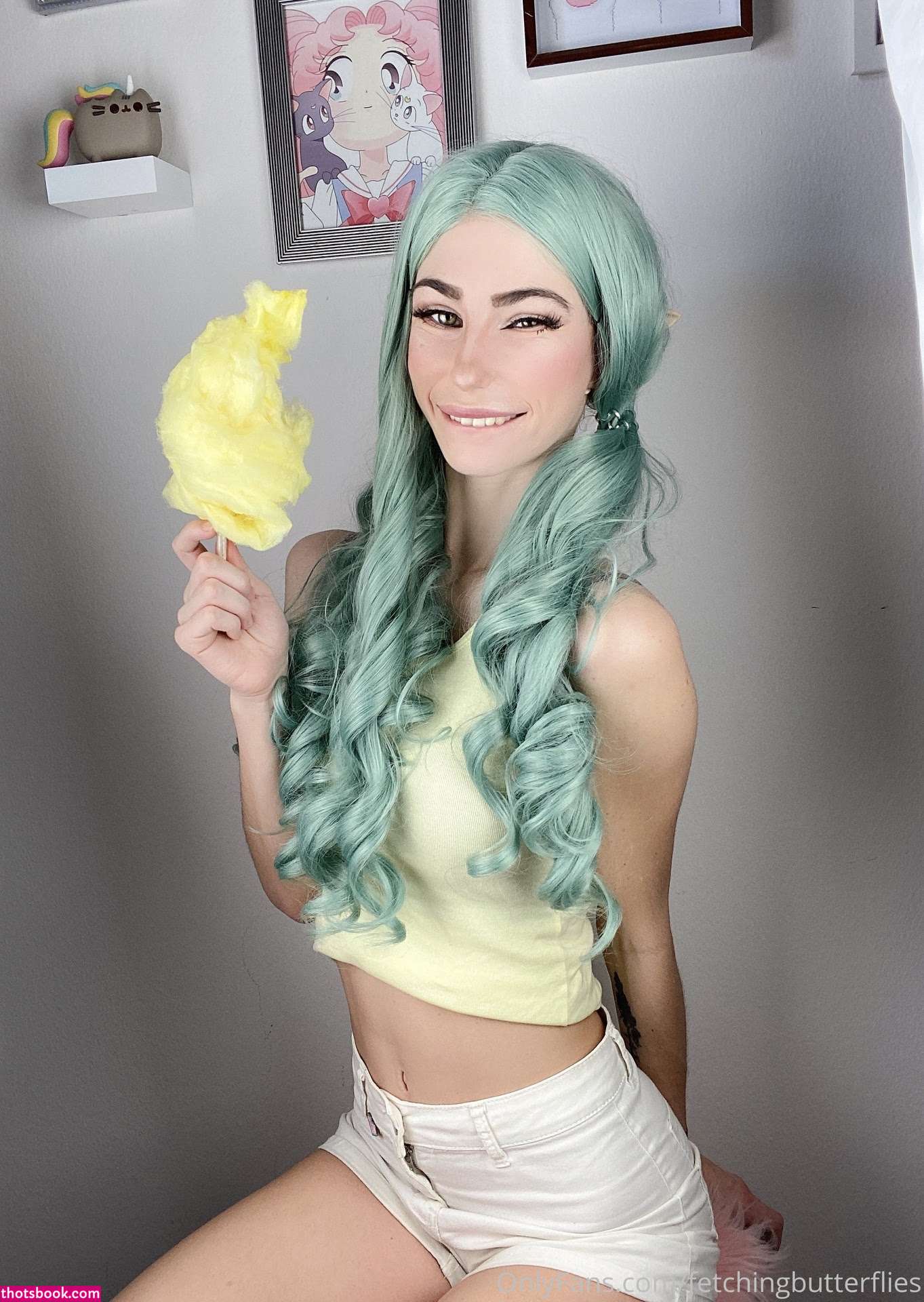 Fetching Butterflies Photo #53