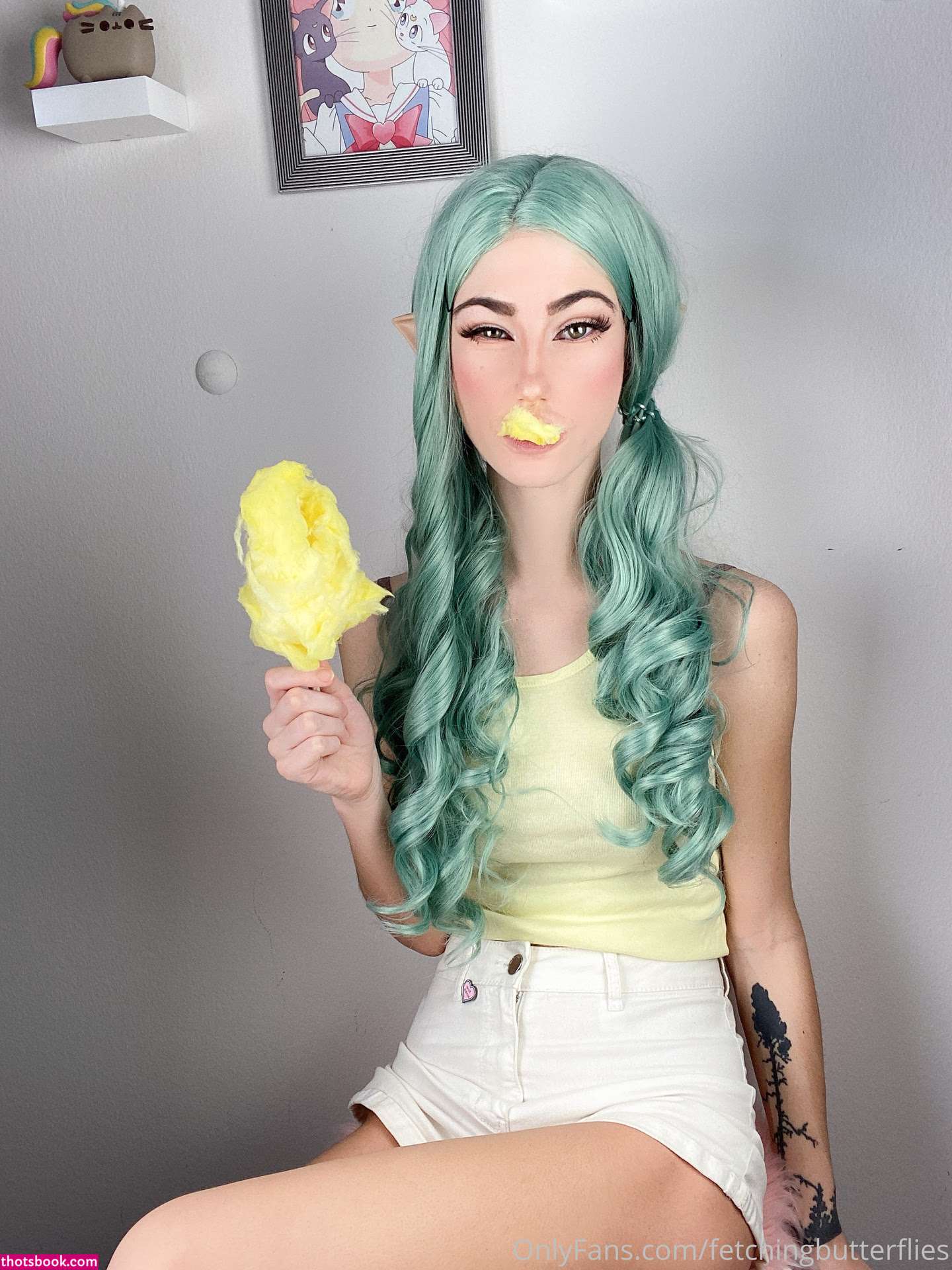 Fetching Butterflies Photo #73