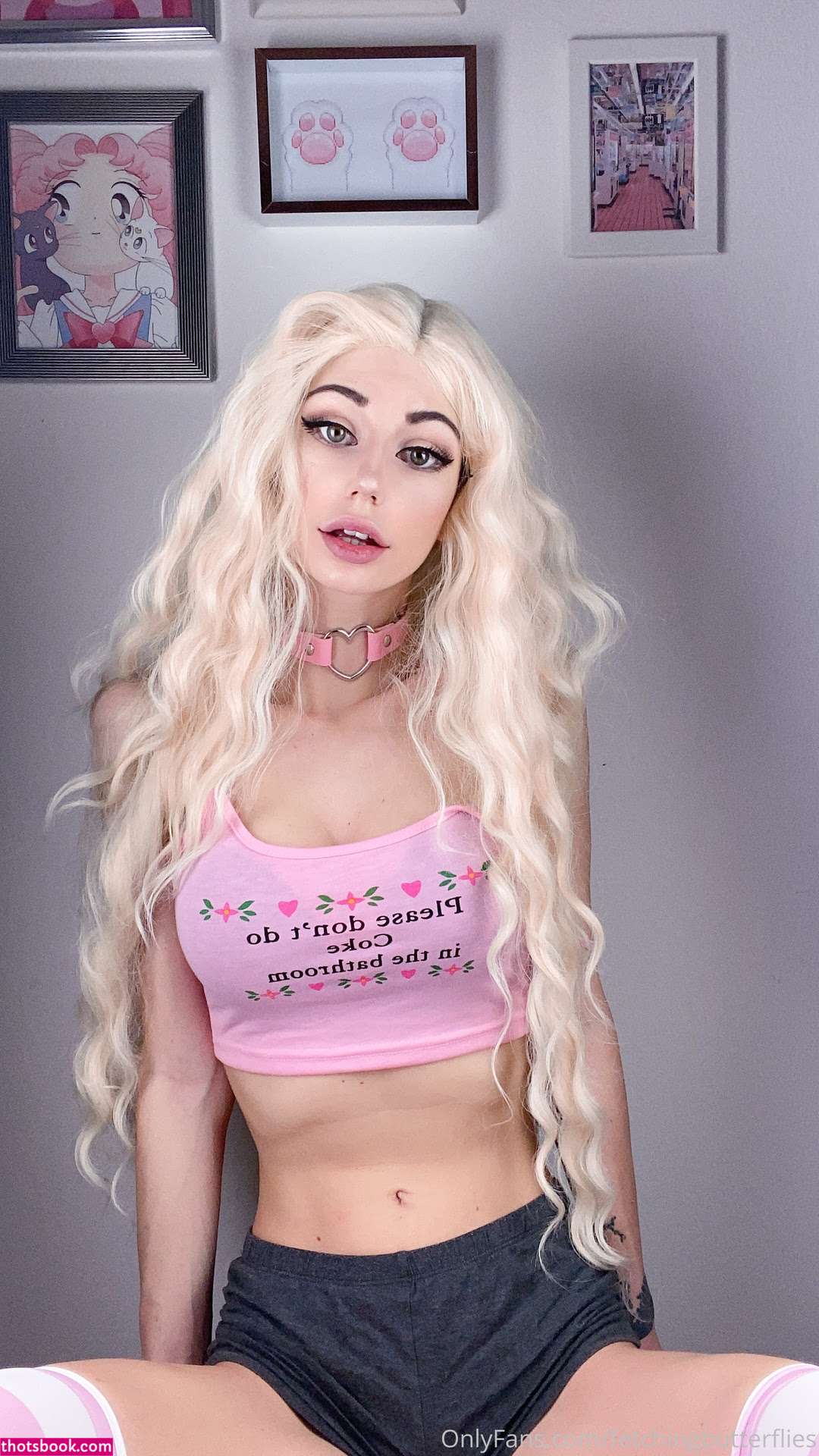 Fetching Butterflies Photo #83