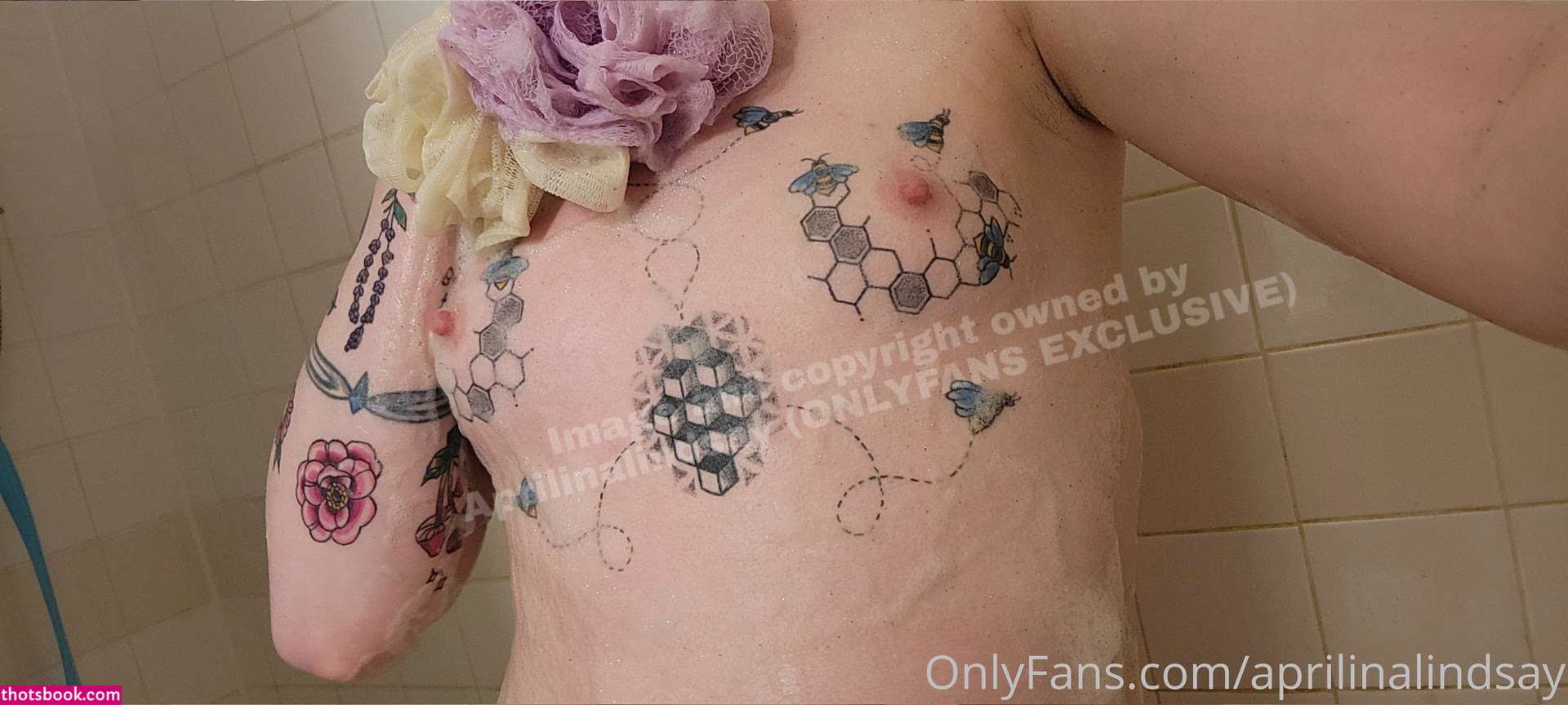 aprilinalindsay Photo #449