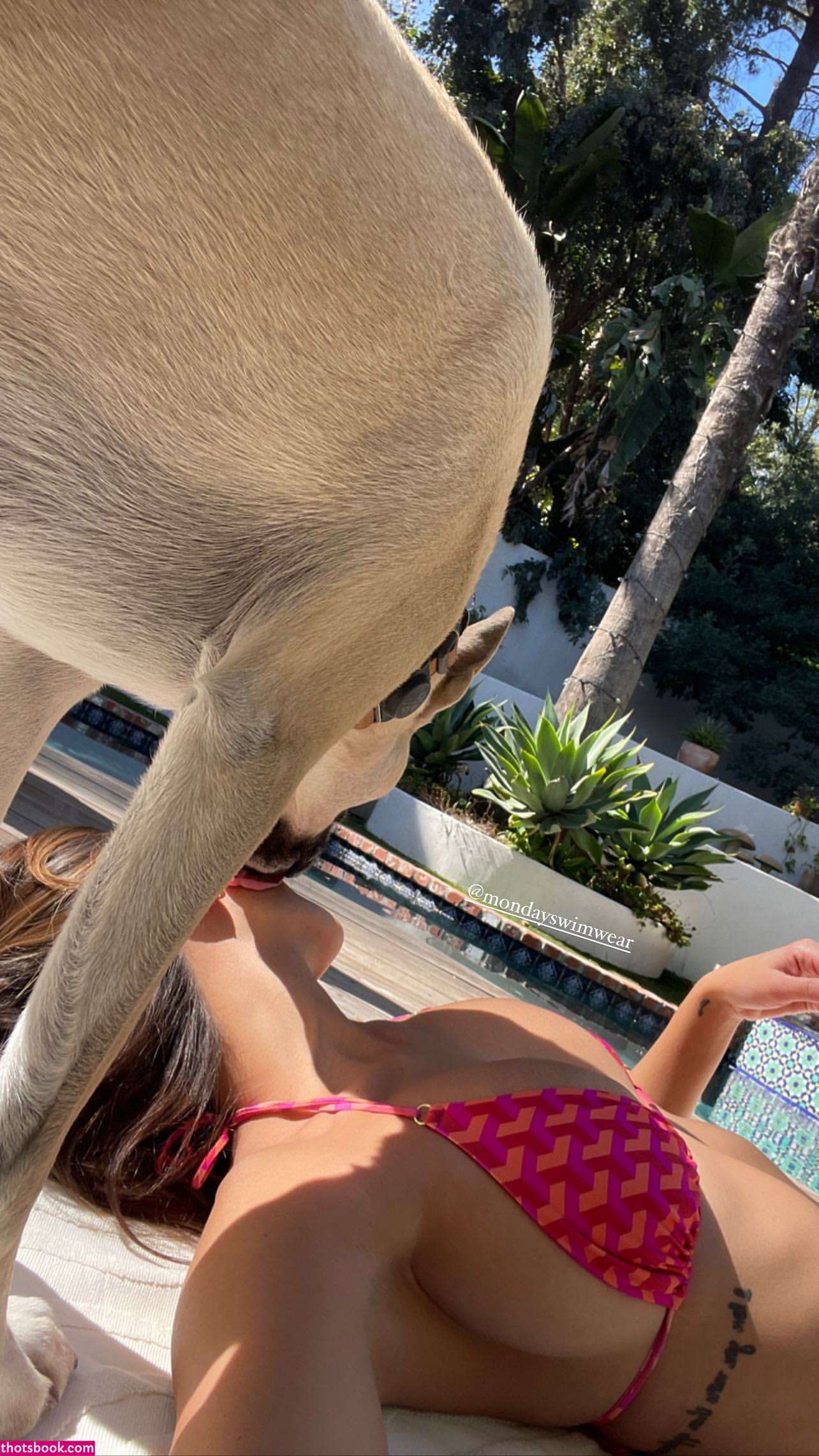 Devin Brugman Photo #12