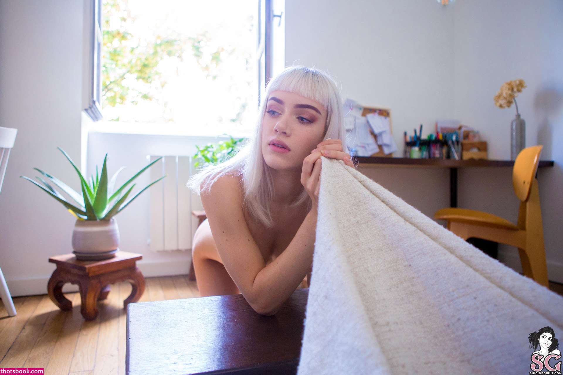 Hurricassy Photo #25