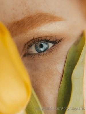 Myfoxyland Photo #13