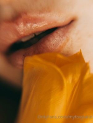 Myfoxyland Photo #16