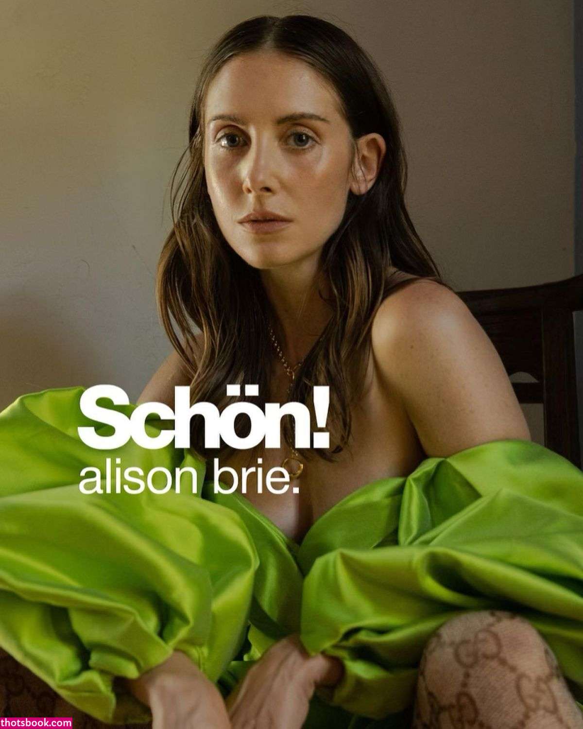 Alison Brie Photo #53