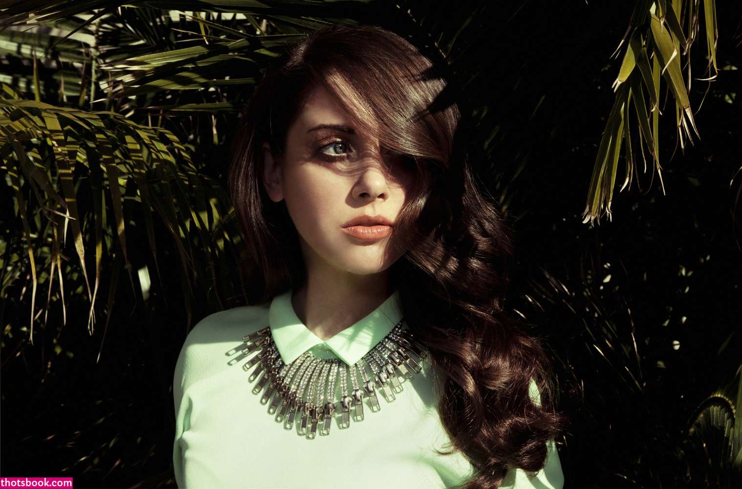 Alison Brie Photo #69