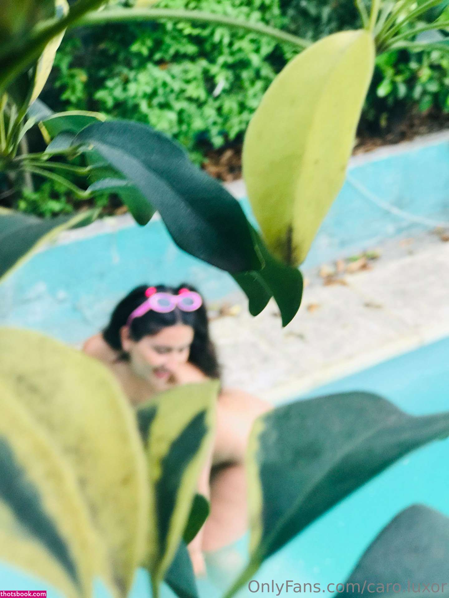 Caro Luxor Photo #60