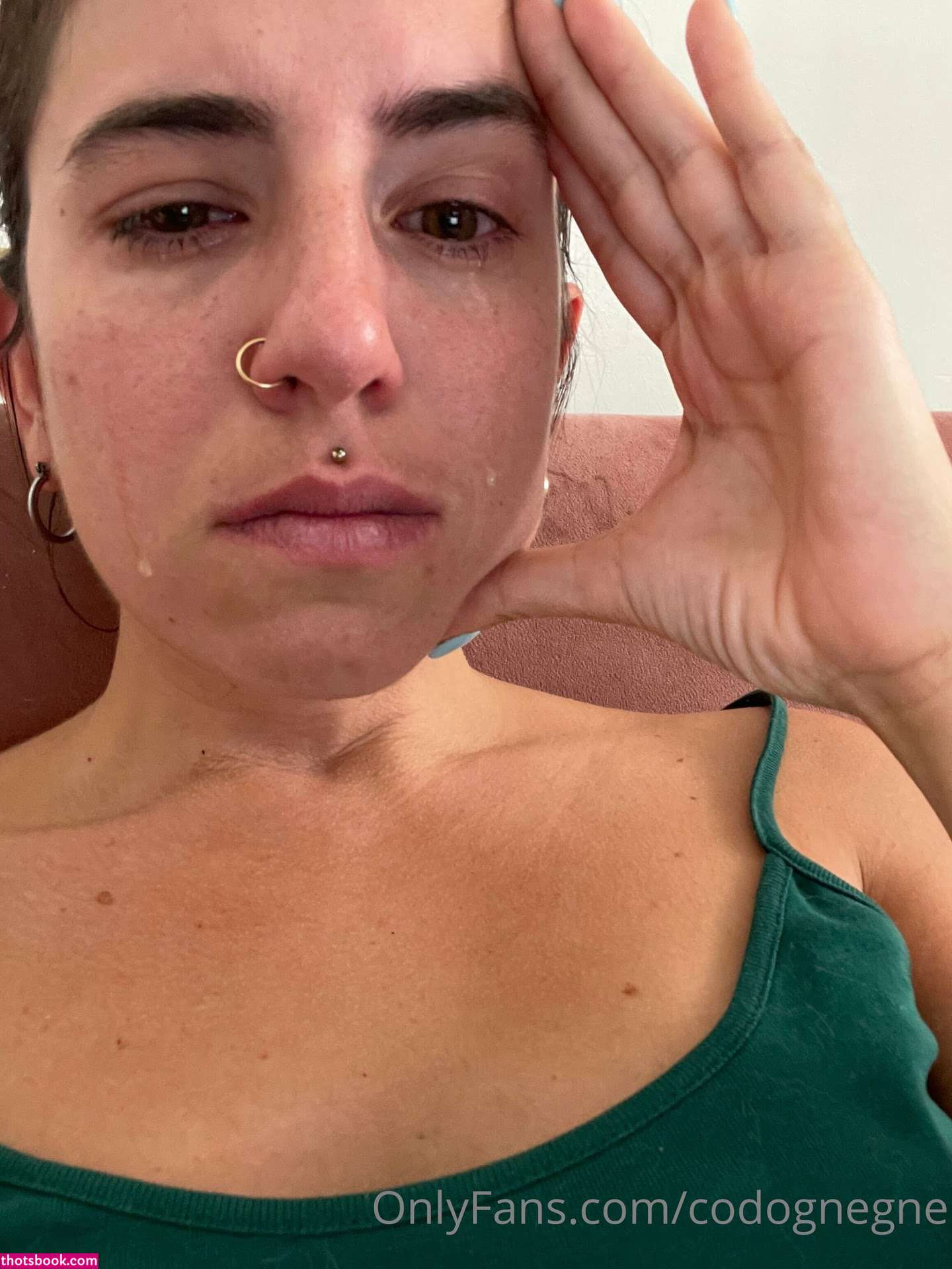 codognegne Photo #14