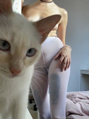 codognegne Photo #13