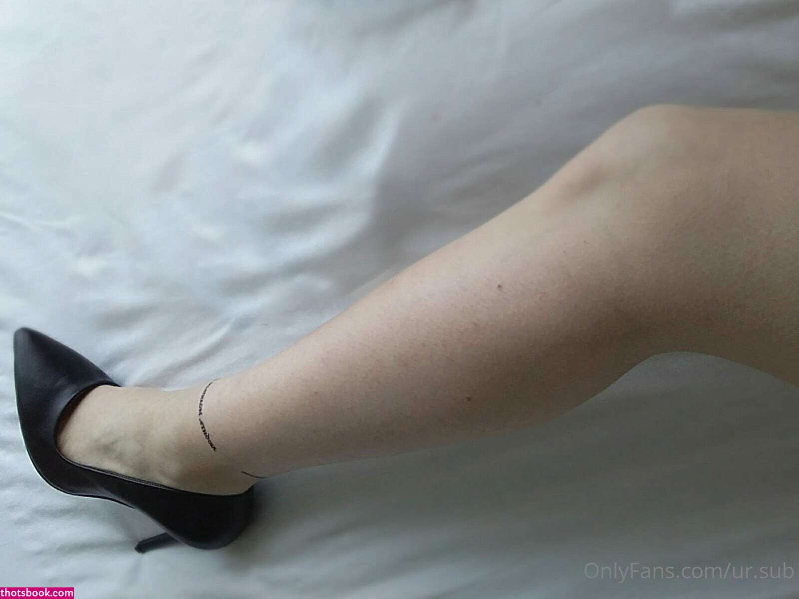 Essential Shibaris Photo #22