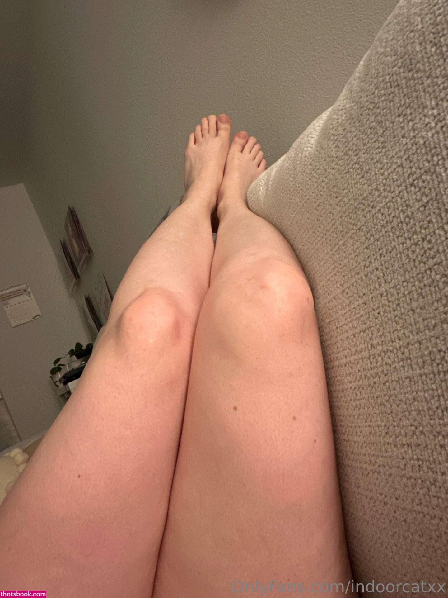 Indoorcatxx Photo #20