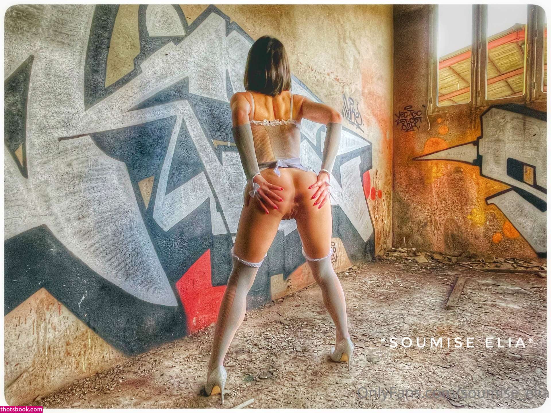 Soumiseelia Photo #2