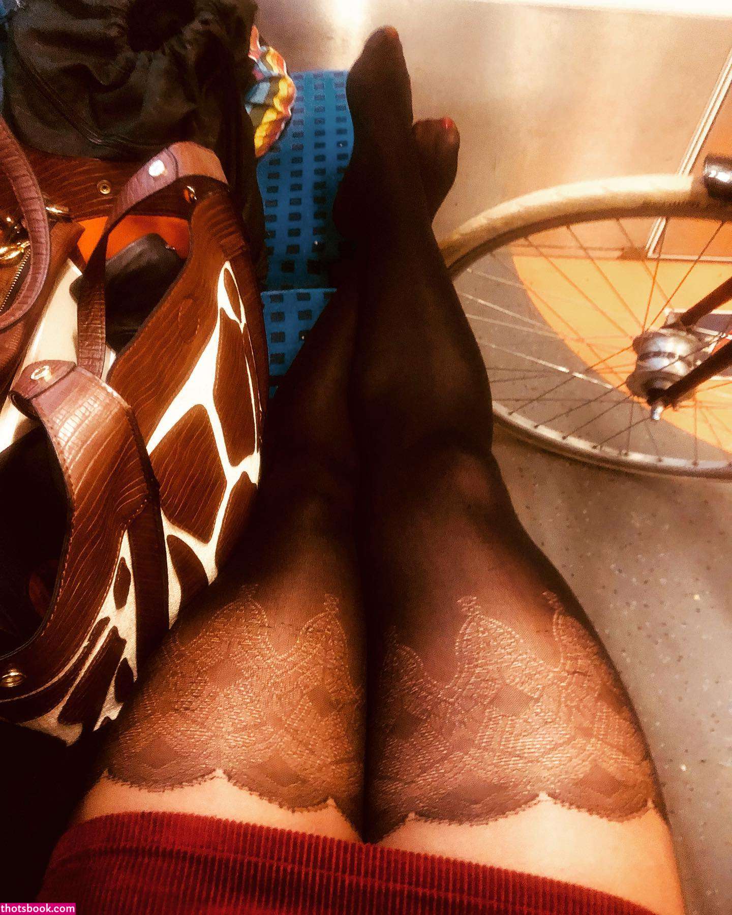 Carmela Rinollo Photo #30