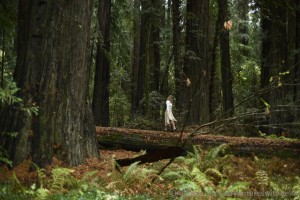 Bella Rayne Photo #5