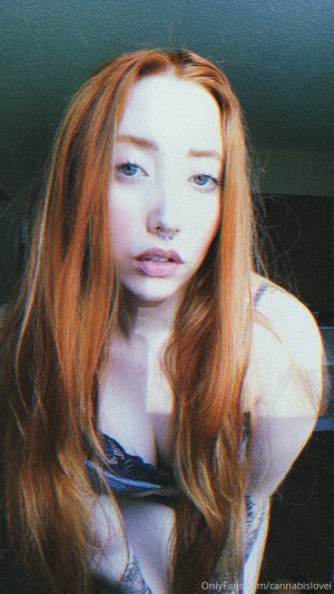 High Lemon Photo #17