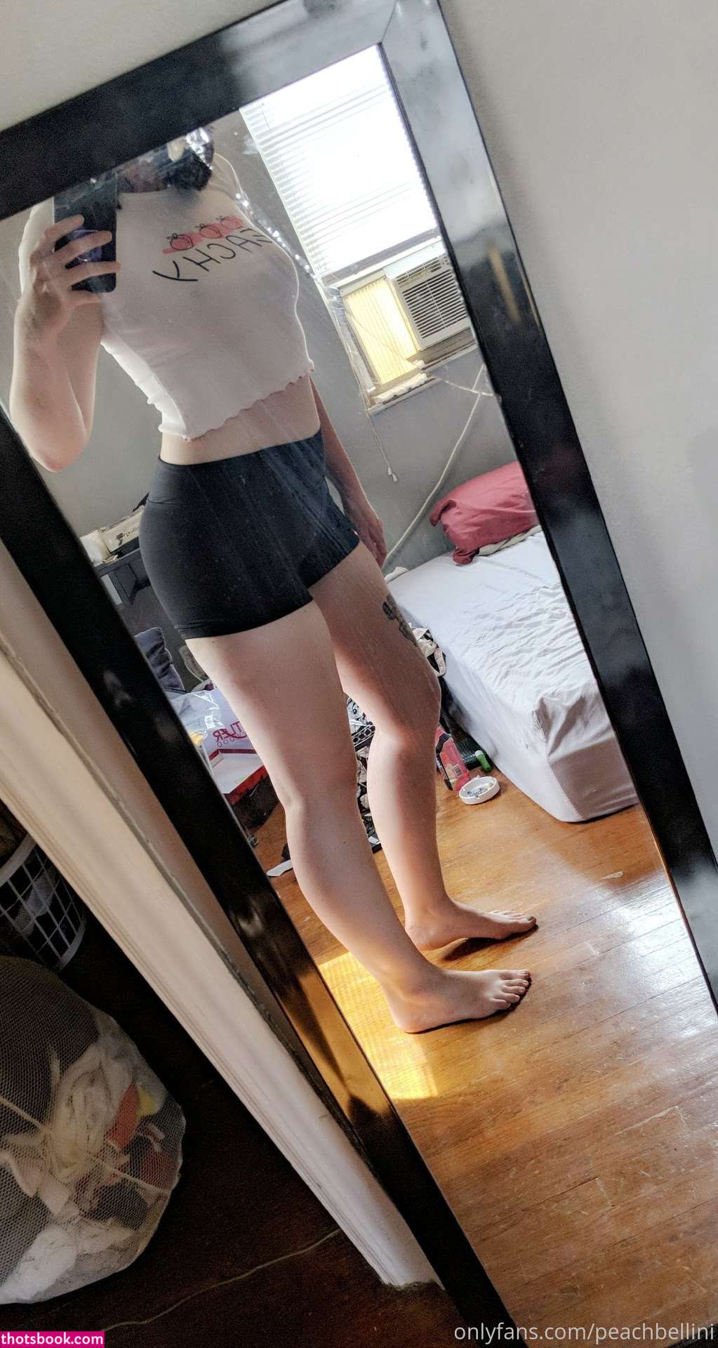 peachbellini Photo #1