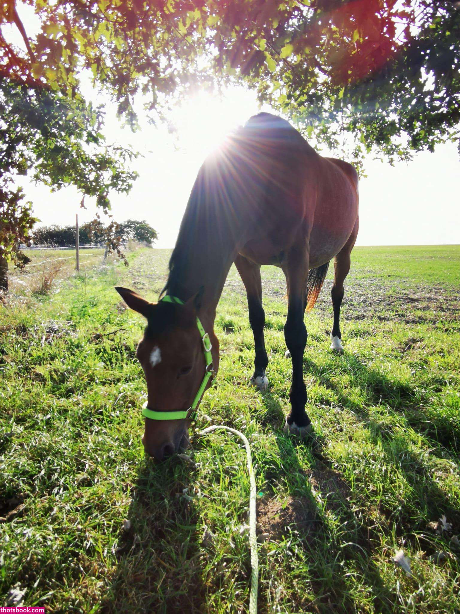 Nina Raine Photo #30