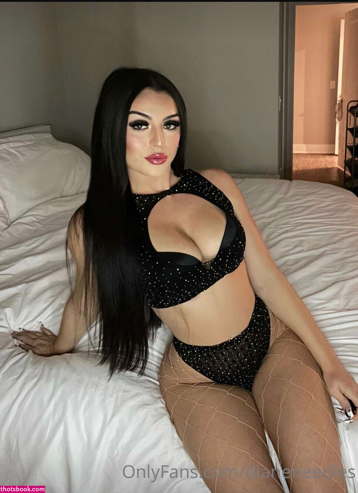 Diane Needles Photo #36