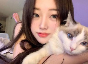 Ham Cheeze Photo #19