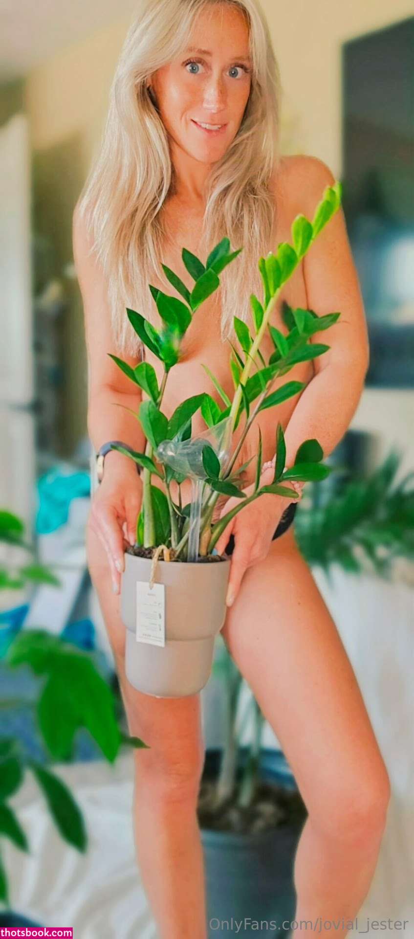 Jovial Jester Photo #12