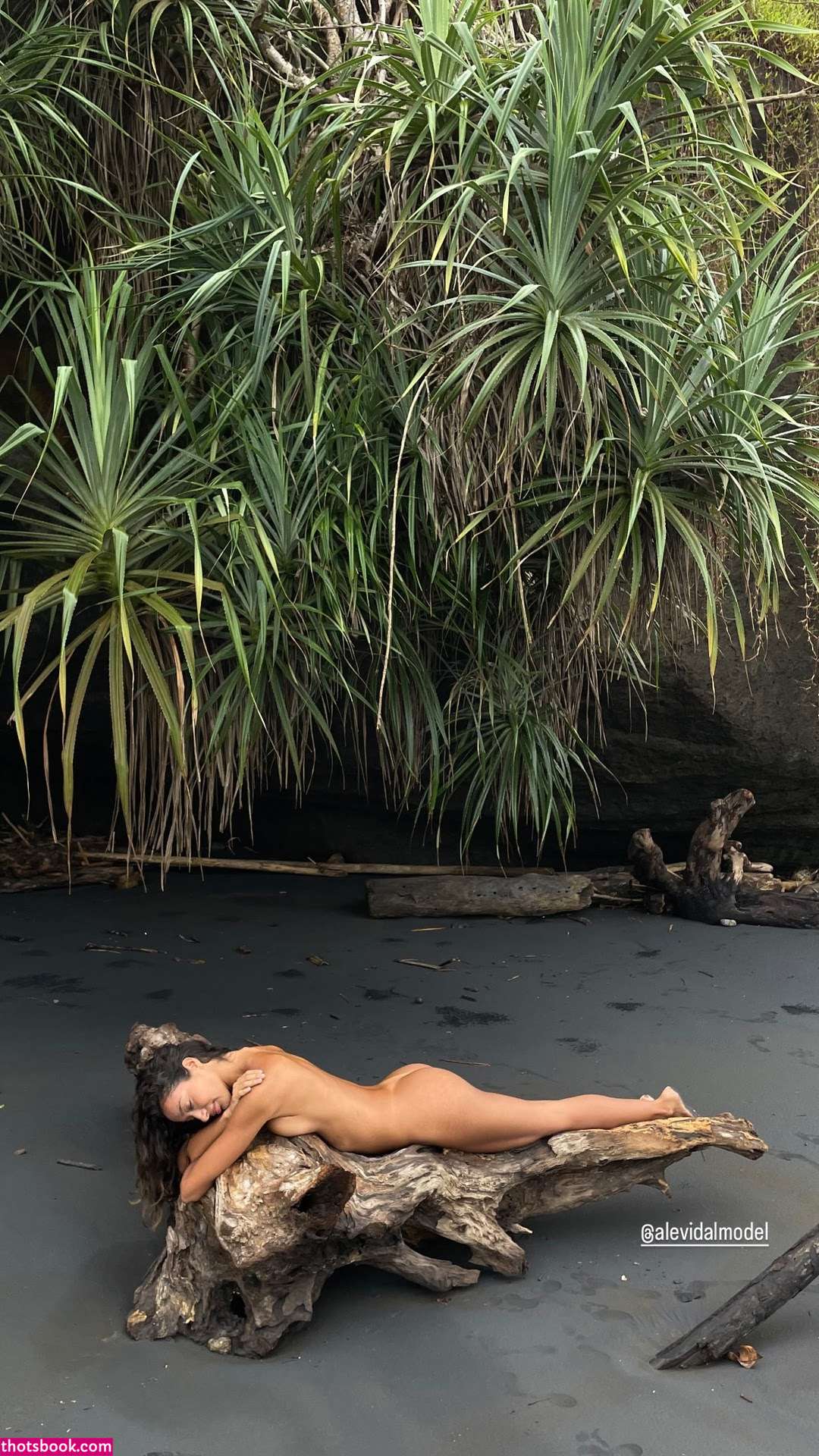 Alejandra Vidal Photo #9