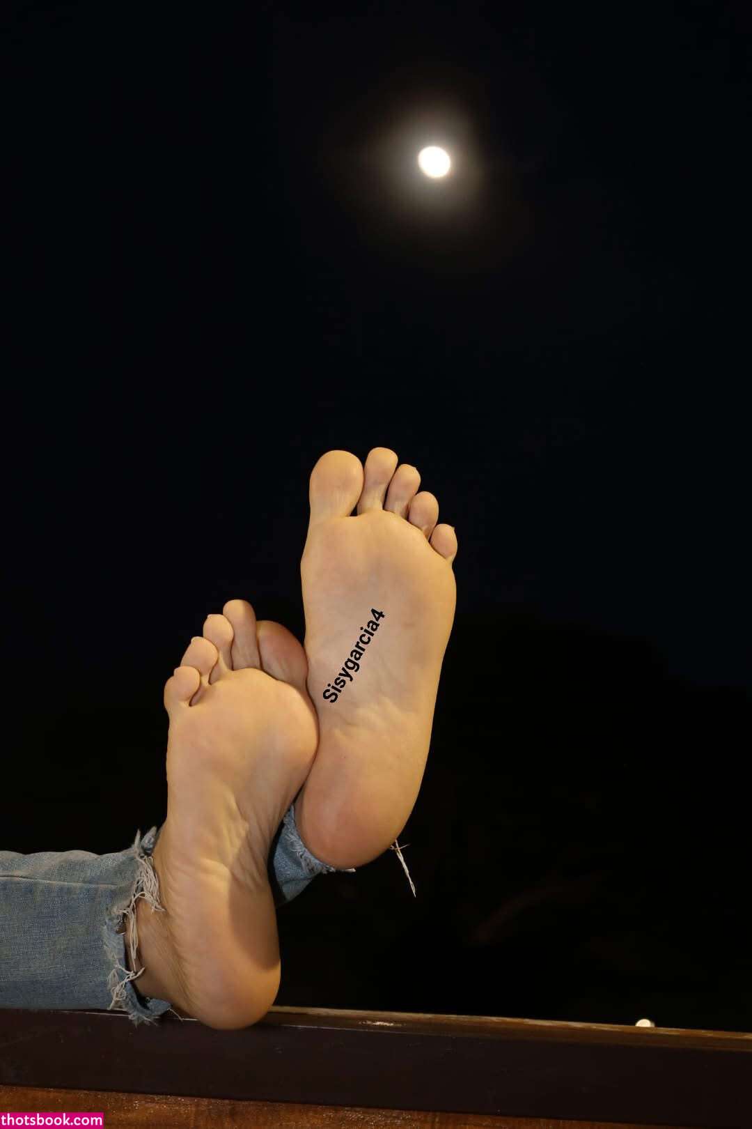 Sisygarcia4 Photo #4