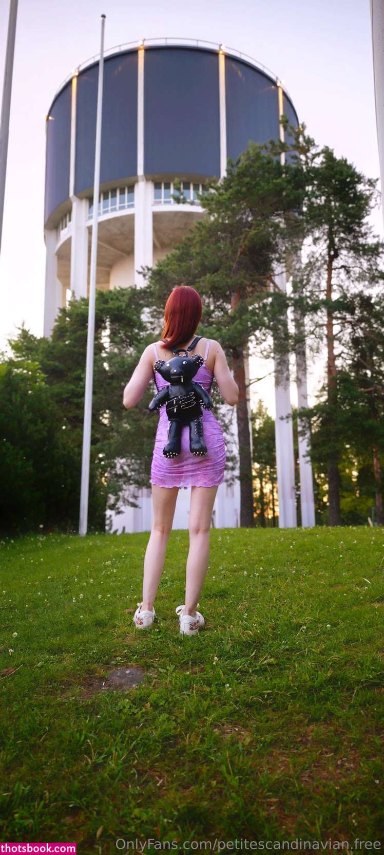 petitescandinavian04 Photo #11