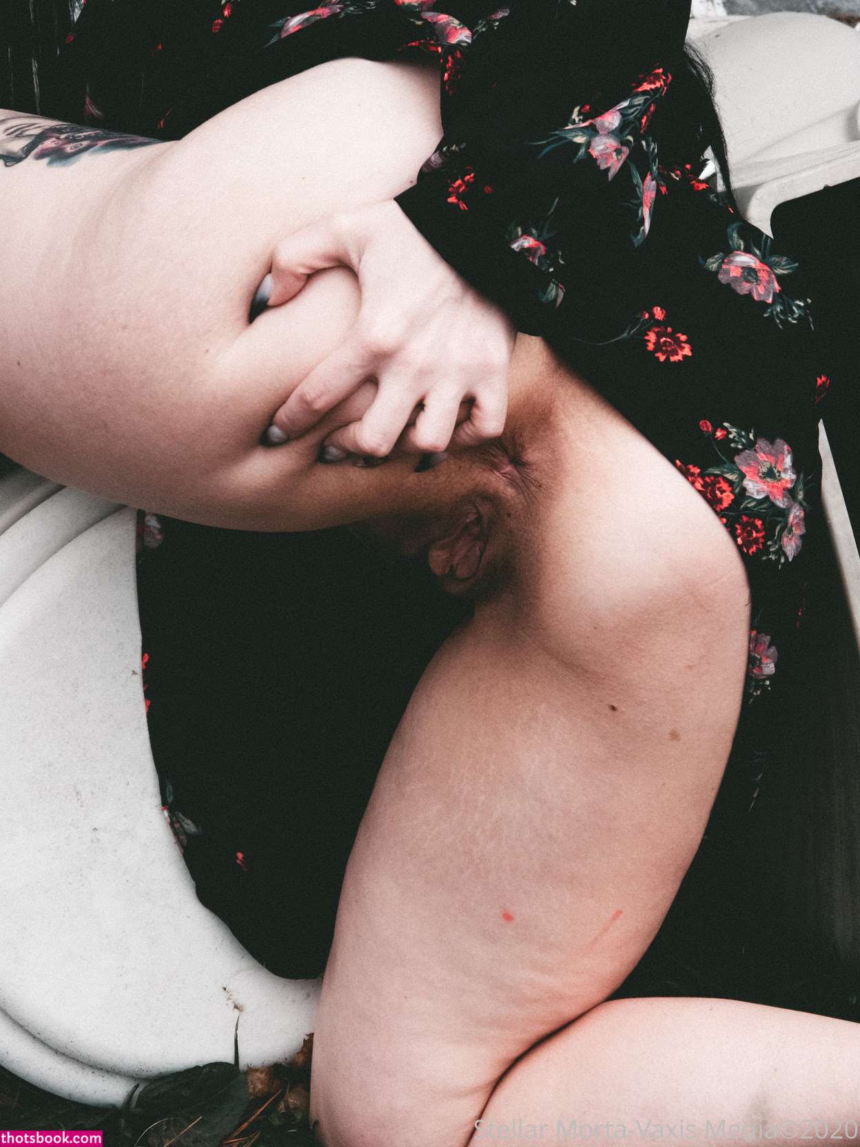 Autumnsouth Photo #14