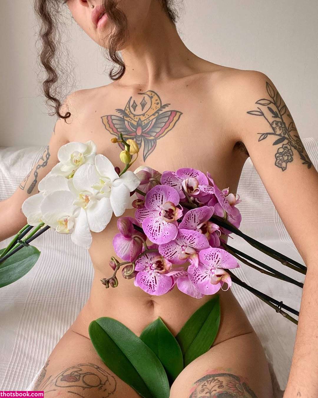 Imponderabile Photo #9