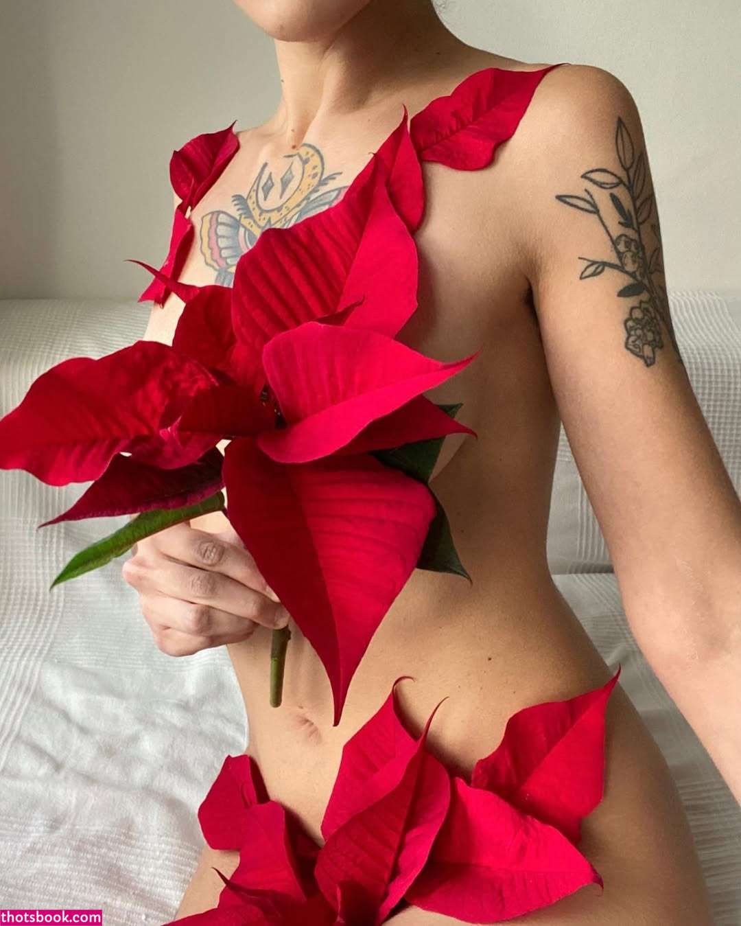 Imponderabile Photo #11