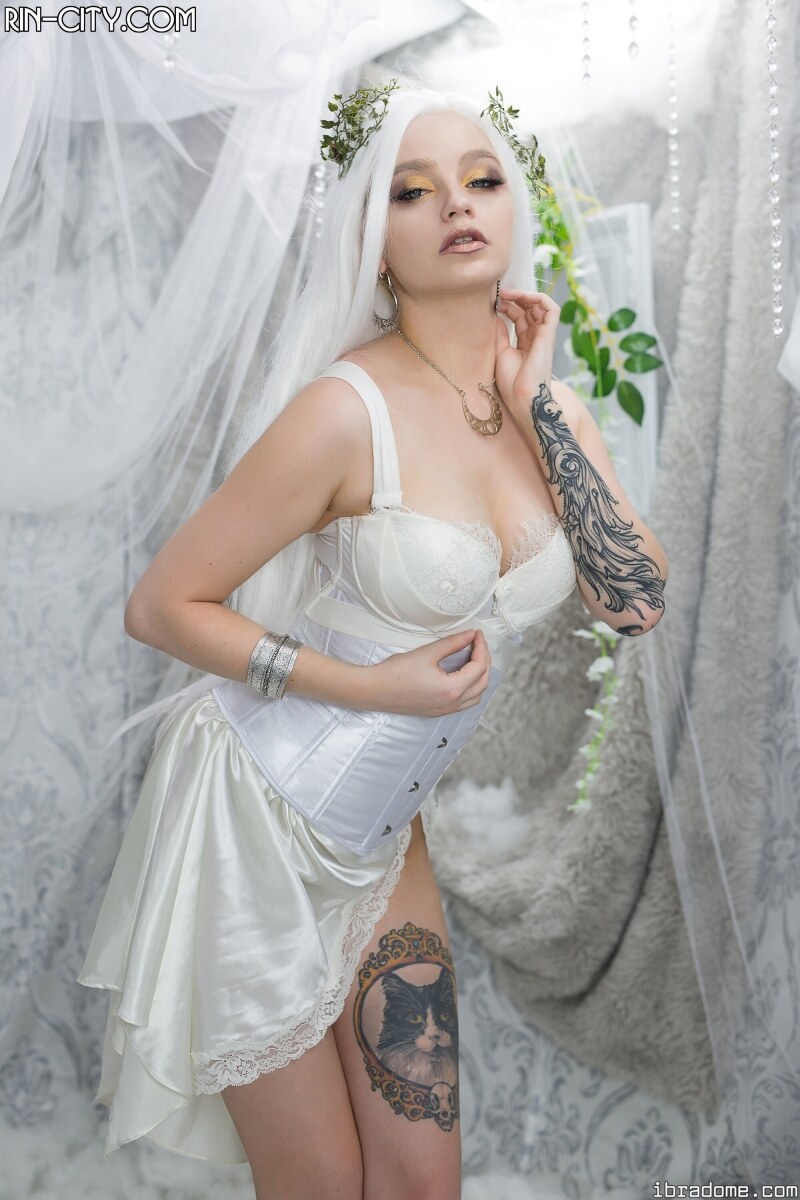 Creator Photo #21374