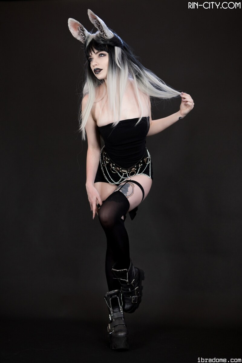 Creator Photo #21988