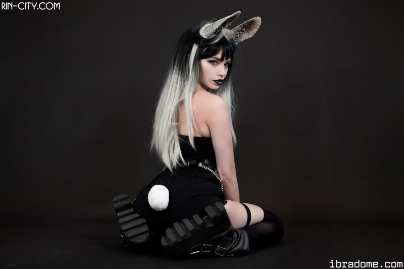 Creator Photo #21995