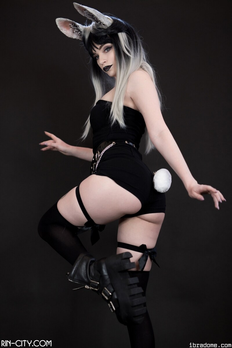 Creator Photo #22016