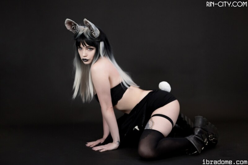 Creator Photo #22018